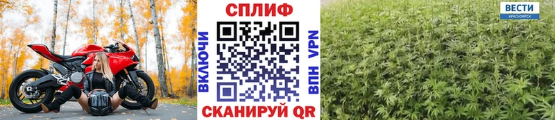 Марихуана Amnesia  купить закладку  Кондопога 